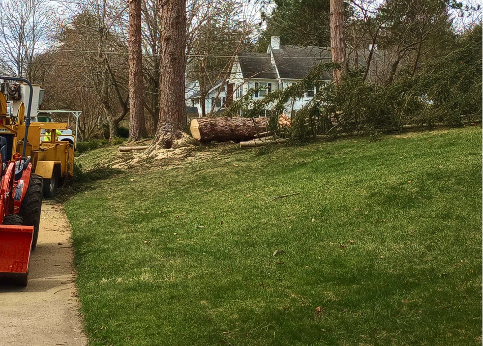 Brush Clearing Brush Clearing