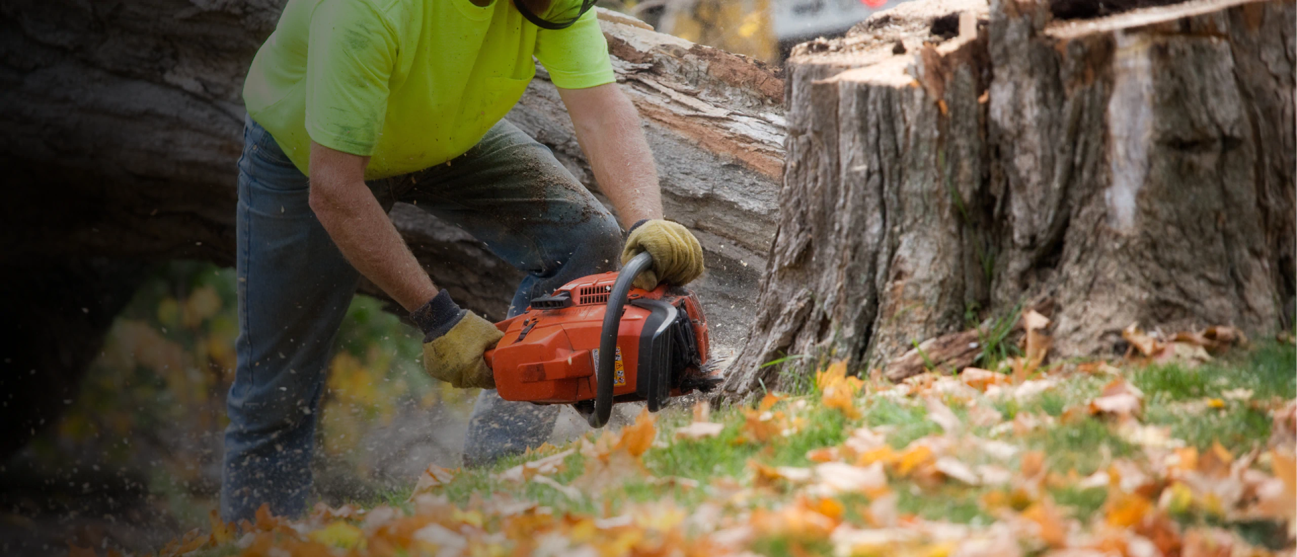 Dennison tree removal hero 2