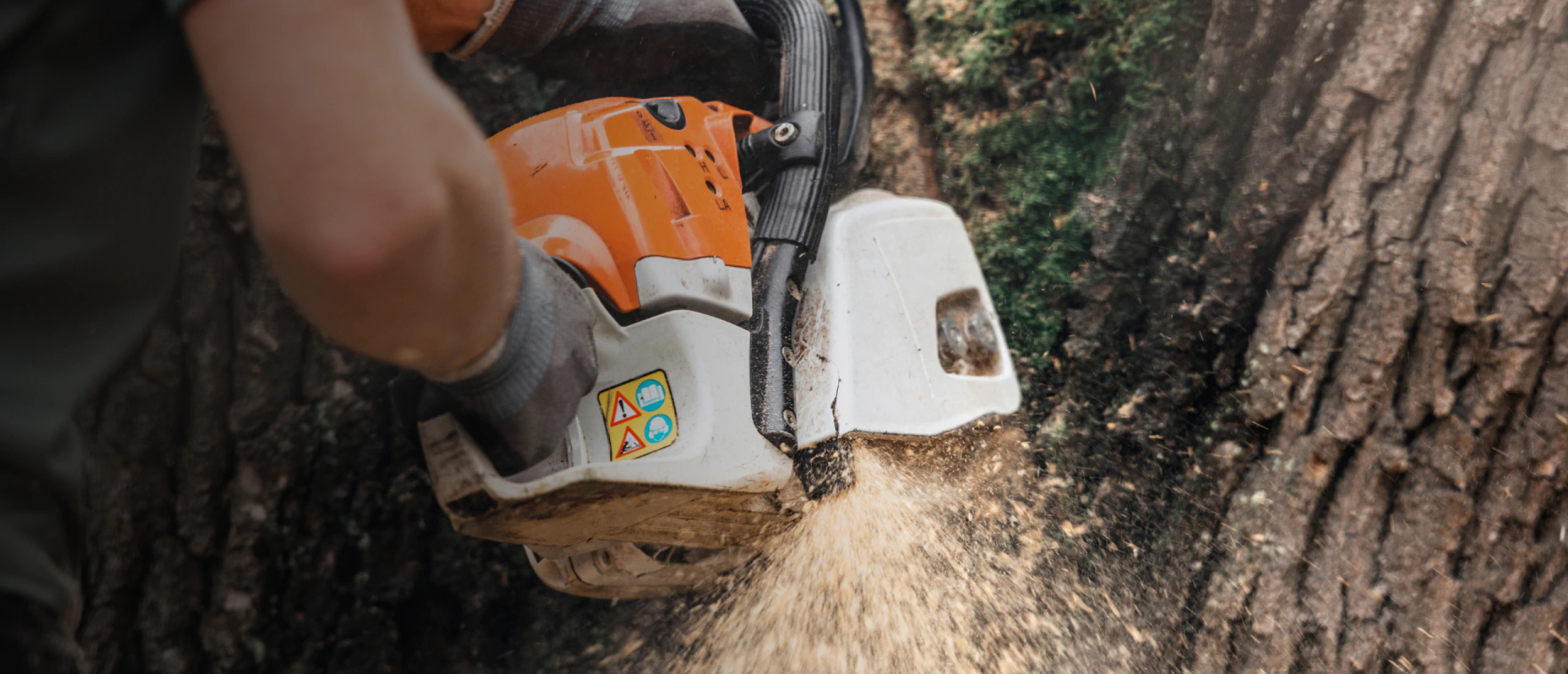 Dennison tree removal hero 3