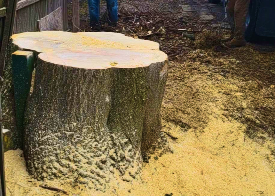Stump Removal