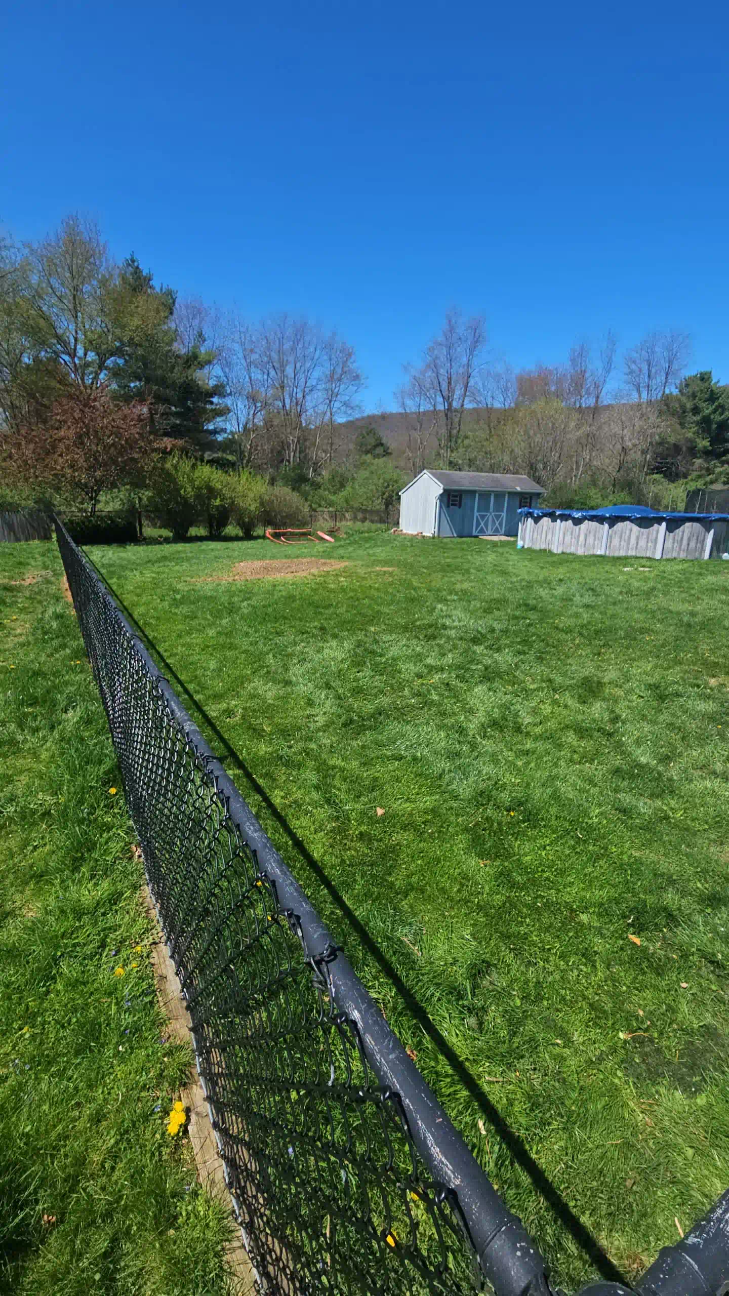 Professional Tree Service in Newfield Hamlet, NY